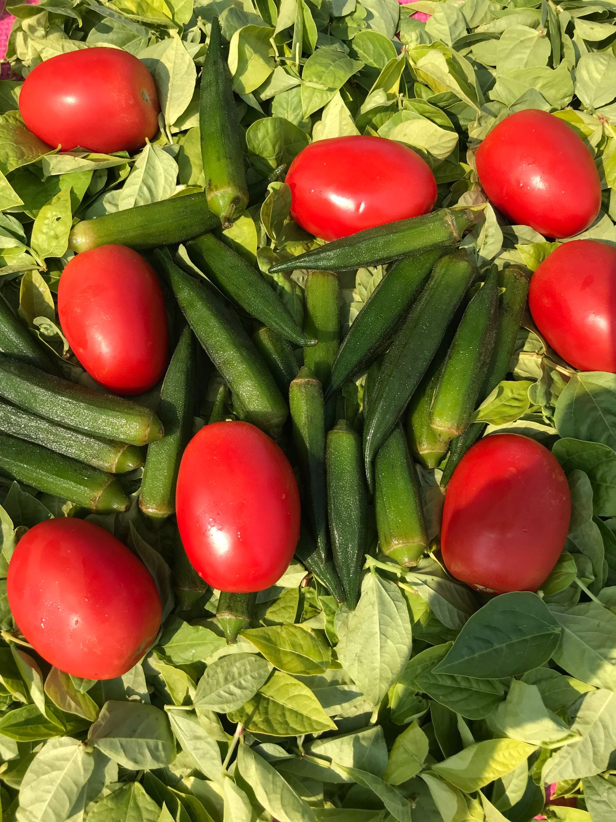 Gulay Pang-Sinigang